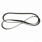 JK6-835-G Motorcraft Serpentine Belt New Ford Focus Escape Mercury Cougar. Fixed Price $33.99.