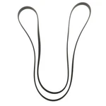 Genuine Gm 1995-2002 Chevrolet Pontiac Buick V-ribbed Serpentine Belt 19172684. Fixed Price $35.63.