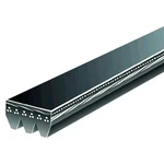 Ford Escape 2001-2006 Gates K030250SF Micro-v Stretch Fit Serpentine Belt. Fixed Price $13.20.
