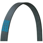 Dayco 5150680 Serpentine Belt. Fixed Price $157.66.