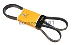 New! Volkswagen Golf Continental Serpentine Belt 6K1755 037145933C. Fixed Price $35.00.
