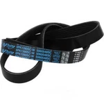 Serpentine Belt Dayco 5060548SC. Fixed Price $57.99.