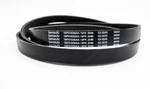 Genuine Bproauto Oem Belt 1BP01936AA. Fixed Price $37.43.