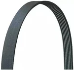 Dayco 5071195 Poly Rib Serpentine Belt 1994 Ford F-250, F-350, F59. Fixed Price $21.00.