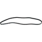 Serpentine Belt-protune Autopart Intl 1602-360144. Fixed Price $27.99.