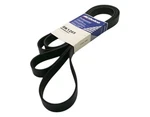 Gm V-ribbed Serpen (b) 8K1265 New Oem 88996993. Fixed Price $42.73.