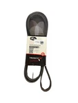 Gates Serpentine Belt P/n: K080981. Fixed Price $21.61.