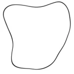 Genuine Ford V Belt LC3Z-8620-J. Fixed Price $223.20.