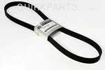 Oem 2000-2002 Nissan Maxima Alternator Drive Belt Genuine New 11920-2Y501. Fixed Price $51.02.