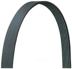 Dayco 5040560DR Accessory Drive Belt System Components - Serpentine. Fixed Price $10.99.
