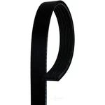 Acdelco 5K618 Professional Serpentine Belt, Standard, V Ribbed. Fixed Price $69.92.