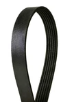 Continental Serpentine Belt For LX600, NX250, Land Cruiser, RAV4+MORE 4060452. Fixed Price $35.80.