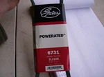 Gates 6731 Drive Belt. Fixed Price $9.99.