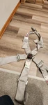 Rci Harness System 5PT P/d Camlock V-type Platinum- 9211CPL. Fixed Price $120.00.