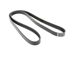 Genuine Mopar Alt And Power Steering Belt 4892173AA. Fixed Price $29.27.