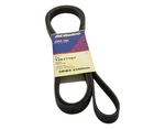 Gm Belt-fan & W/pm (SLP-P1) 12617797 New Oem. Fixed Price $43.23.