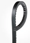 Accessory Drive Belt-high Capacity V-belt(standard) Gates 7325. Fixed Price $14.96.