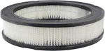 Baldwin PA1735 Air Filter 42061 46157 A218C FA23R L190 L414 AF388. Fixed Price $17.99.
