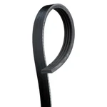 Ford Focus 13 Acdelco Professional Stretch Fit V-ribbed Serpentine Belt. Fixed Price $20.46.