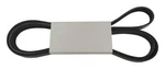 Crown Automotive 53034095AA Accessory Drive Belt. Fixed Price $42.87.