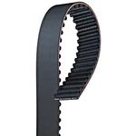 Acdelco TB281 Engine Timing Belt. Fixed Price $49.17.