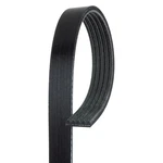 For Chevy Cavalier 87-90 Acdelco Professional Standard V-ribbed Serpentine Belt. Fixed Price $22.19.