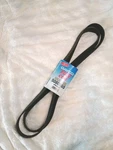 Dayco 5080980 Poly Cog Serpentine Belt Gold Label. Fixed Price $16.88.