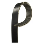 Acdelco 8K661A V Ribbed Serpen (b). Fixed Price $101.39.