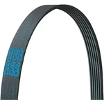 Dayco V-ribbed Belt #5080875 Lot Of 2. Fixed Price $82.63.
