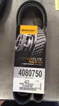 International Belt GY4080760. Fixed Price $120.65.