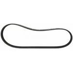 JK6295 Motorcraft Serpentine Belt Ford Mustang 2018-2020. Fixed Price $57.06.