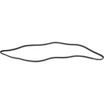 1602-360374 Serpentine Belt. Fixed Price $39.99.