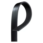 For Freightliner Coronado 10 Professional Standard V-ribbed Serpentine Belt. Fixed Price $59.88.