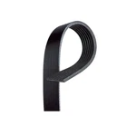 Genuine Acdelco For Acura Rdx 2019-2020 Serpentine Belt Black 7 Rib 88932838. Fixed Price $64.47.