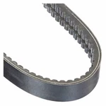 Continental 2/3VX560 Banded Cogged V-belt, 56" Outside Length, 49/64". Fixed Price $47.69.