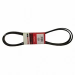 Serpentine Belt Motorcraft JK6-878. Fixed Price $73.79.