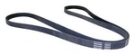 Serpentine Belt Crown JK060905. Fixed Price $70.46.