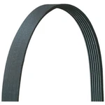 5060480DR Dayco Serpentine Belt For Toyota Corolla Im Scion Nissan Sentra Matrix. Fixed Price $30.11.