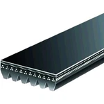 K080785HD Gates Serpentine Belt New For Blue Bird All American Fe Condor FL112. Fixed Price $94.25.