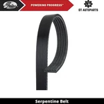 For 1995 Bmw 850CSI Serpentine Belt Water Pump And Ac Gates. Fixed Price $35.61.