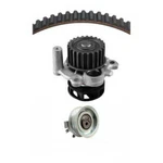 Engine Timing Belt Kit With Water Pump-natural Dayco WP296K1A. Fixed Price $82.02.