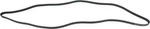 Serpentine Belt-protune Autopart Intl 1602-360374. Fixed Price $25.95.