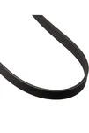 Dayco E040318 Serpentine Belt. Fixed Price $11.00.
