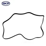 Serpentine Belt Skp SK060930. Fixed Price $29.83.