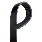 For Audi Q7 2019 Acdelco 7K500 Professional Standard V-ribbed Serpentine Belt. Fixed Price $52.26.