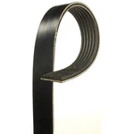 Acdelco 6K911A V Ribbed Serpentine Belt. Fixed Price $79.29.