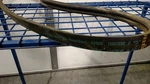 Gates Super Hc Powerband Belt 5V800. Fixed Price $50.00.