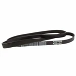 Serpentine Belt Motorcraft JK6-682 Fits 15-23 Ford Mustang 5.0L-V8. Fixed Price $43.26.