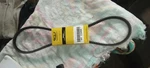Alliance GT17446E Accessory Drive Belt Made In The Usa. Fixed Price $12.00.