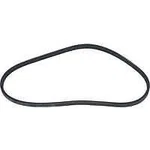 Serpentine Belt-protune Autopart Intl 1602-360011. Fixed Price $25.99.
